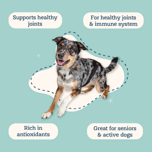 Golden Groovin | Natural Curcumin Joint + Inflammation Support