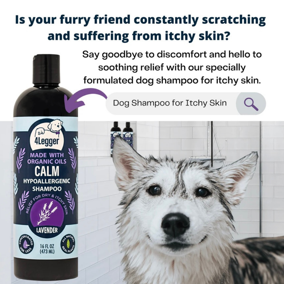 4 legger dog shampoo near me online