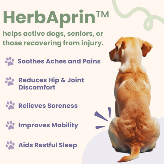 Glacier Peak HerbAprin Powder | Pain Relief