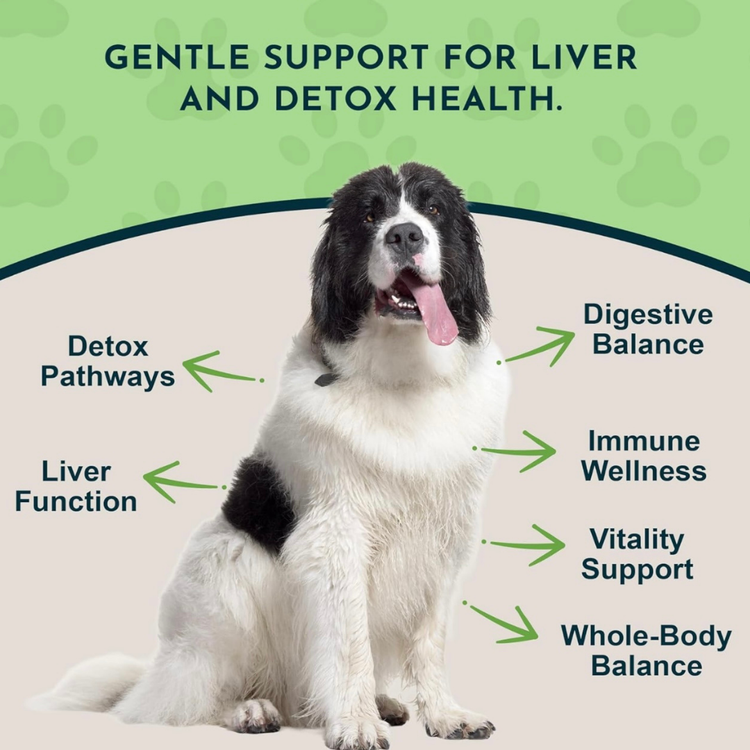 Animal Essentials Organic Milk Thistle Capsules