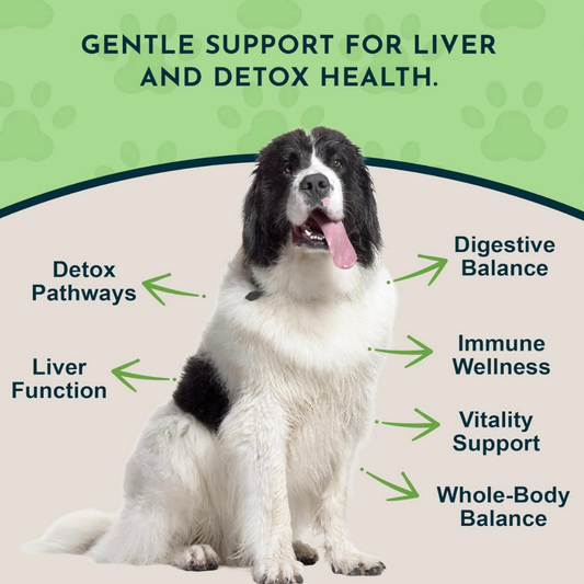 Animal Essentials Organic Milk Thistle Capsules