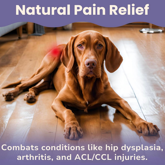 Glacier Peak HerbAprin Powder | Pain Relief