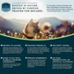 Animal Essentials Organic Milk Thistle Capsules
