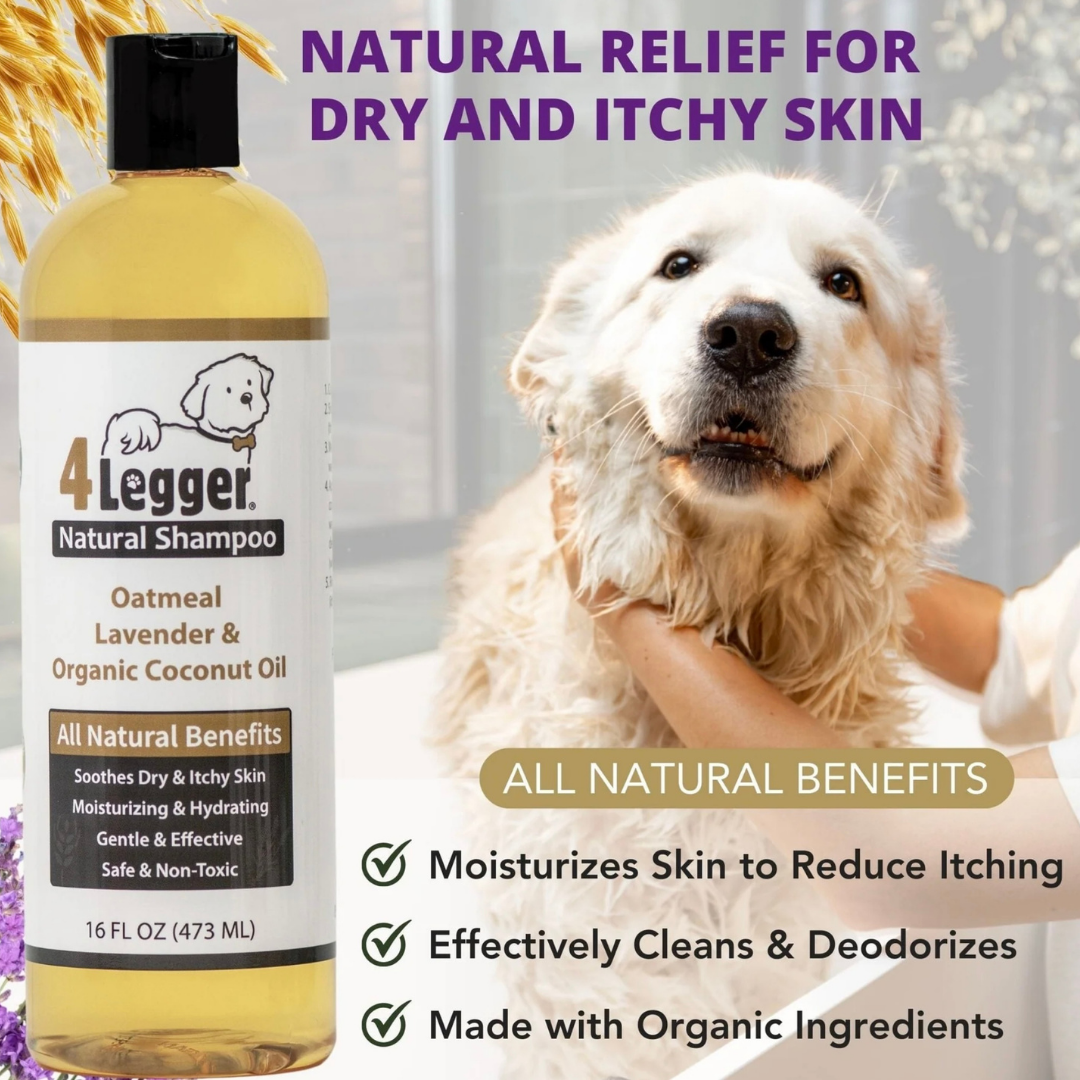 4-Legger Organic Oatmeal Shampoo | Lavender