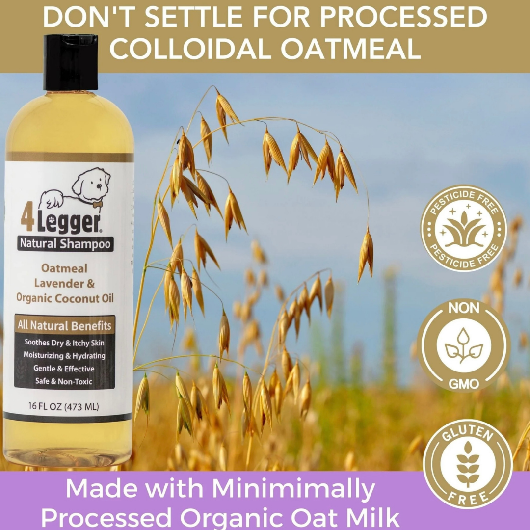 4-Legger Organic Oatmeal Shampoo | Lavender