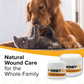 HoneyCure Jar | Manuka Honey Skin Care