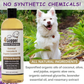 Organic Oatmeal Dog Shampoo with Aloe + Lavender