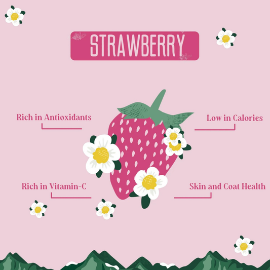 Yak9 Yak Chew | Strawberry