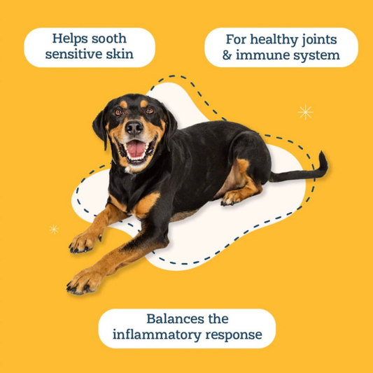Happy Skin | Natural Quercetin + Colostrum Skin & Allergy Support