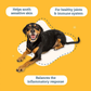 Happy Skin | Natural Quercetin + Colostrum Skin & Allergy Support