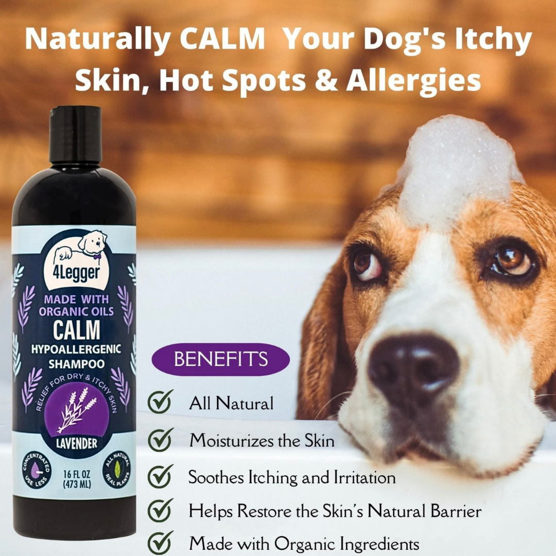 4-Legger Organic Shampoo Calm | Lavender + Calendula