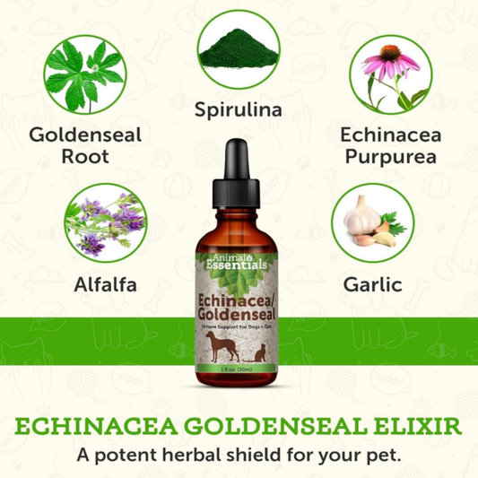 Animal Essentials Echinacea/Goldenseal | Immune Boost + Seasonal Wellness