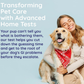 Innovative Pet Lab Comprehensive Review Test | At-Home Dog Health Testing