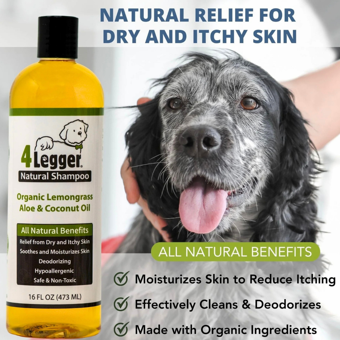 4-Legger Organic Shampoo | Lemongrass + Aloe