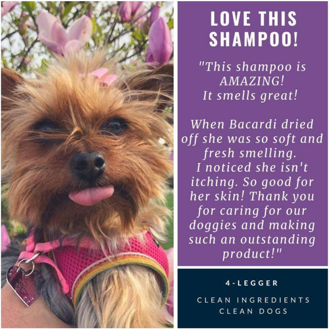 4-Legger Organic Shampoo Calm | Lavender + Calendula