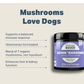 Four Leaf Rover Organic Seven 'Shrooms | Immune Mushroom Blend