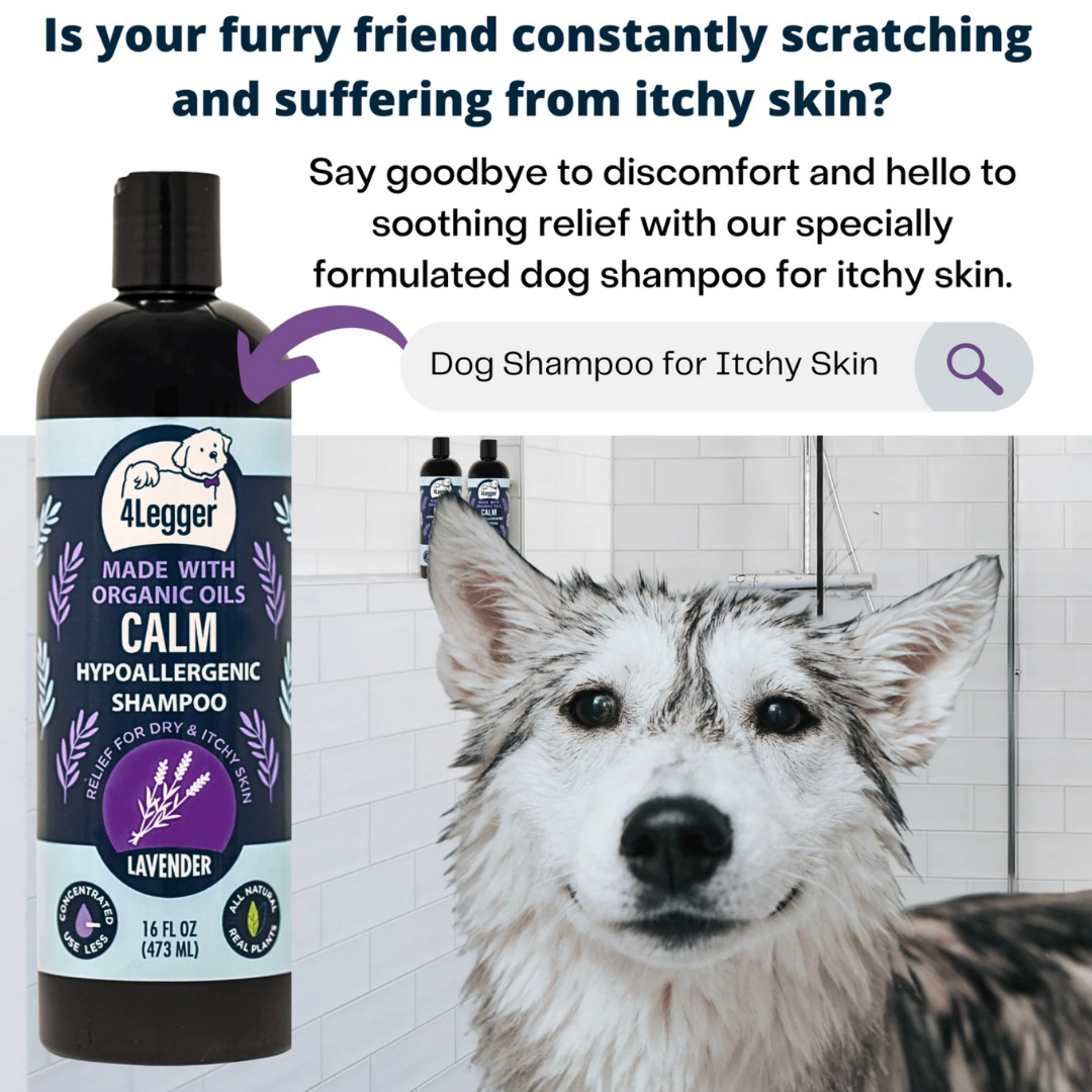 4-Legger Organic Shampoo Calm | Lavender + Calendula