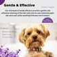 4-Legger Organic Lavender Shampoo | Itchy Skin + Hot Spot Support