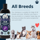 4-Legger Organic Lavender Shampoo | Itchy Skin + Hot Spot Support