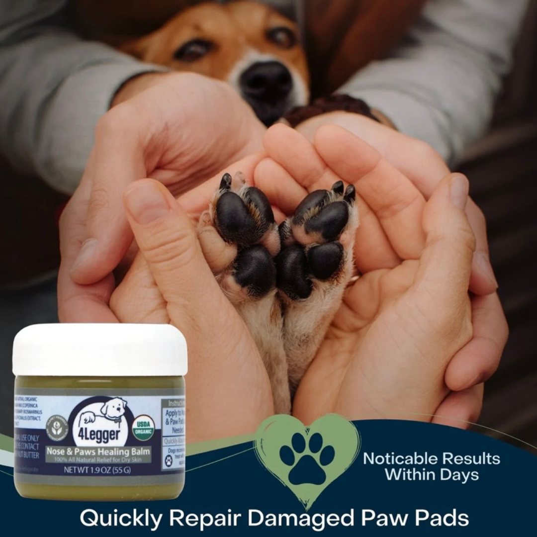 Paw pad balm best sale