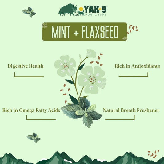 Yak9 Yak Chew | Mint + Flaxseed
