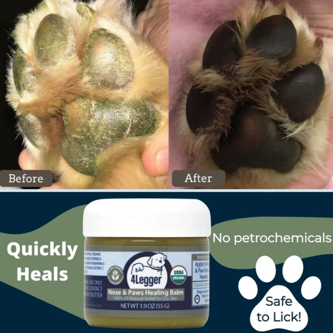 4-Legger Organic Healing Balm | Nose & Paw Pads