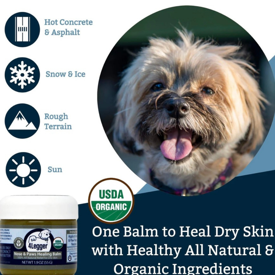 4-Legger Organic Healing Balm | Nose & Paw Pads