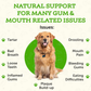 Animal Essentials Healthy Gums