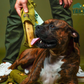 Yak9 Yak Chew | Mint + Flaxseed