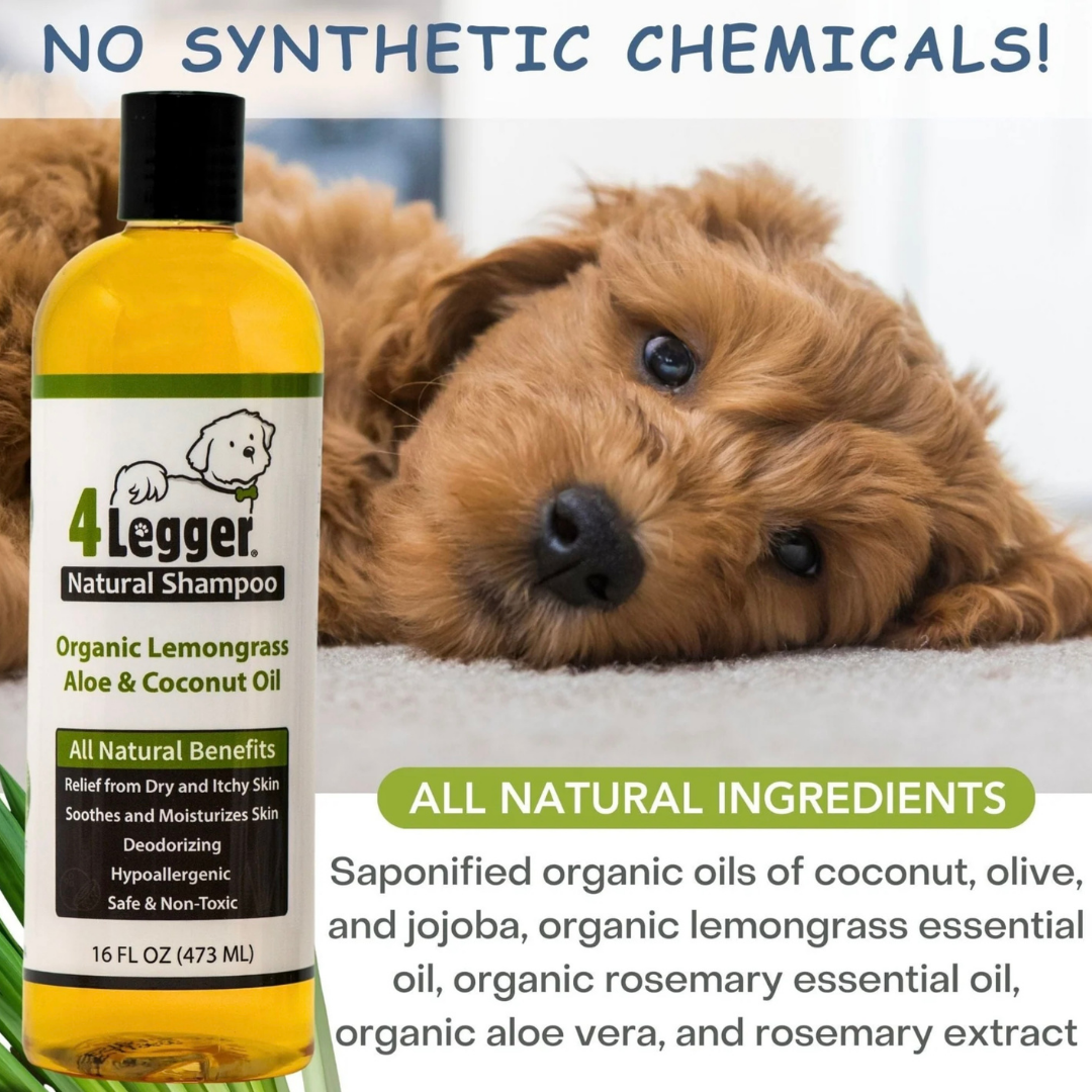 4-Legger Organic Shampoo | Lemongrass + Aloe