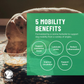 Dehydrated Bone Broth Powder | Mobility