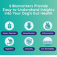 Innovative Pet Lab Comprehensive Review Test | At-Home Dog Health Testing