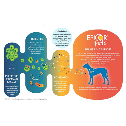 Pawse Flourishing Flora | Freeze-Dried Gut Health Treats