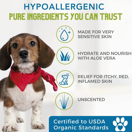 4-Legger Organic Hypoallergenic Shampoo | Unscented