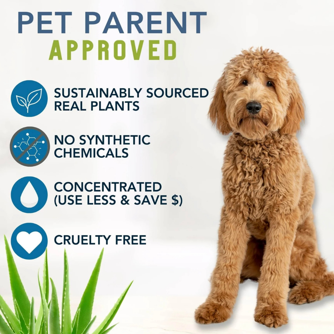 4-Legger Organic Hypoallergenic Shampoo | Unscented