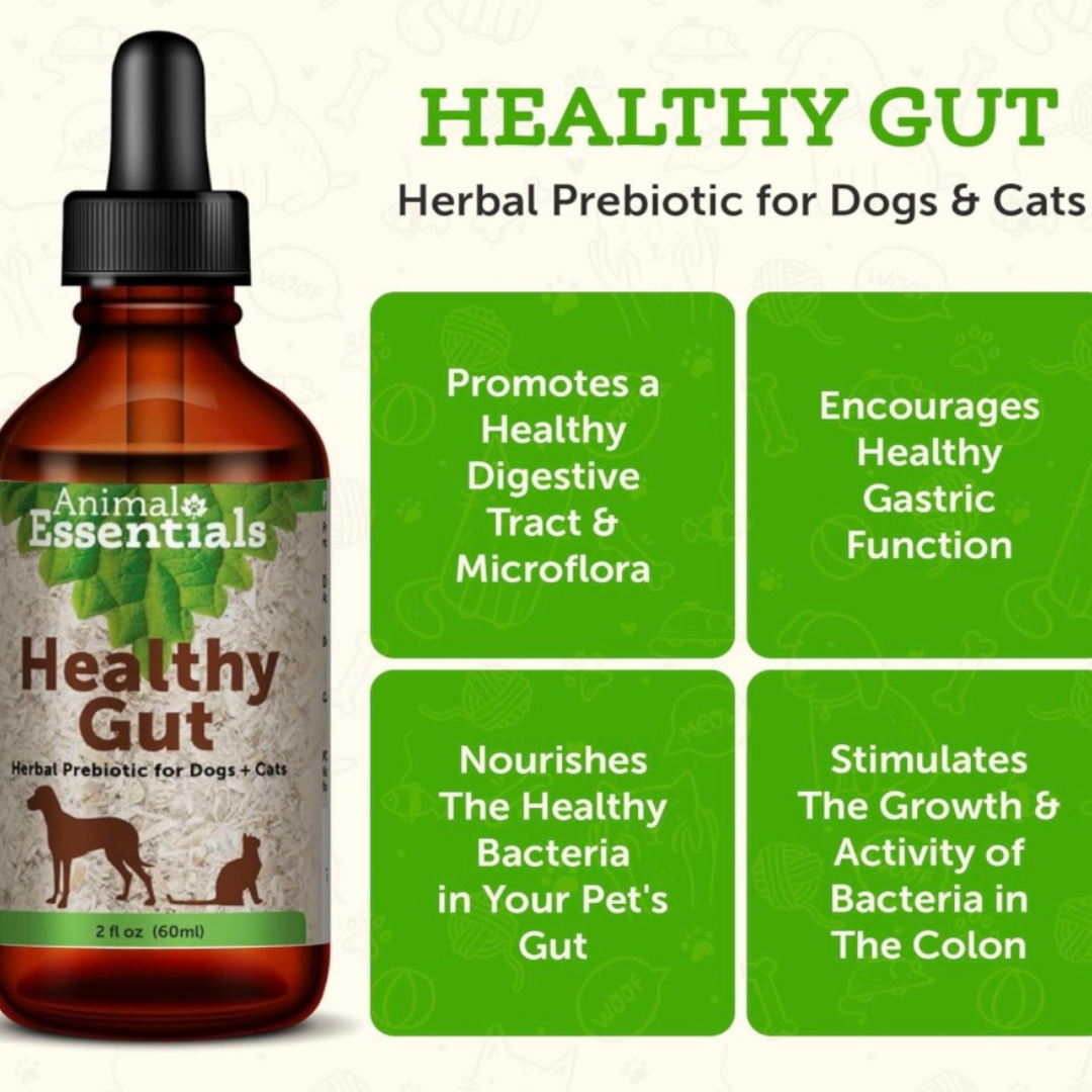 Animal Essentials Healthy Gut