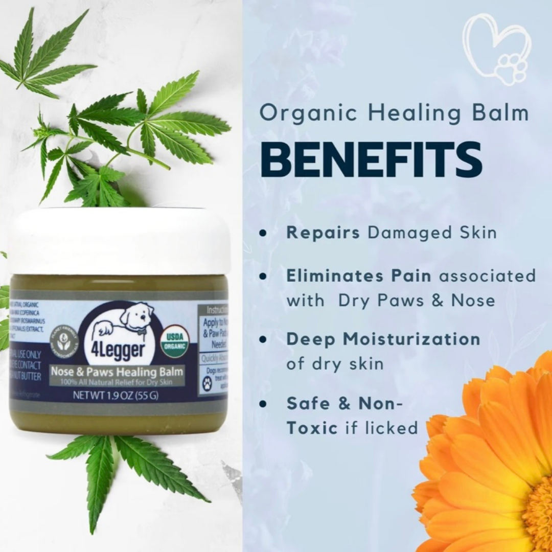 4-Legger Organic Healing Balm | Nose & Paw Pads