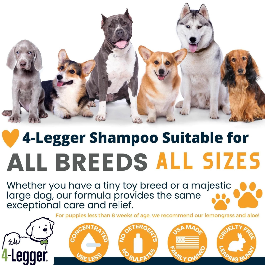 4-Legger Organic Shampoo Revitalize | Neem