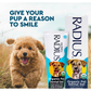 Radius Organic Dog Toothpaste | Natural Dental Care
