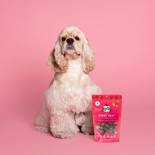 Lord Jameson Organic Treats | Berry Best