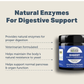 Four Leaf Rover Digest | Digestive Enzymes