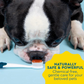 Radius Organic Dog Toothpaste | Natural Dental Care