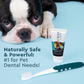Radius Organic Canine Dental Kit | Young