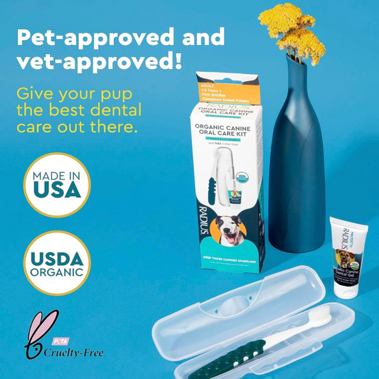 Radius Organic Canine Dental Kit | Young