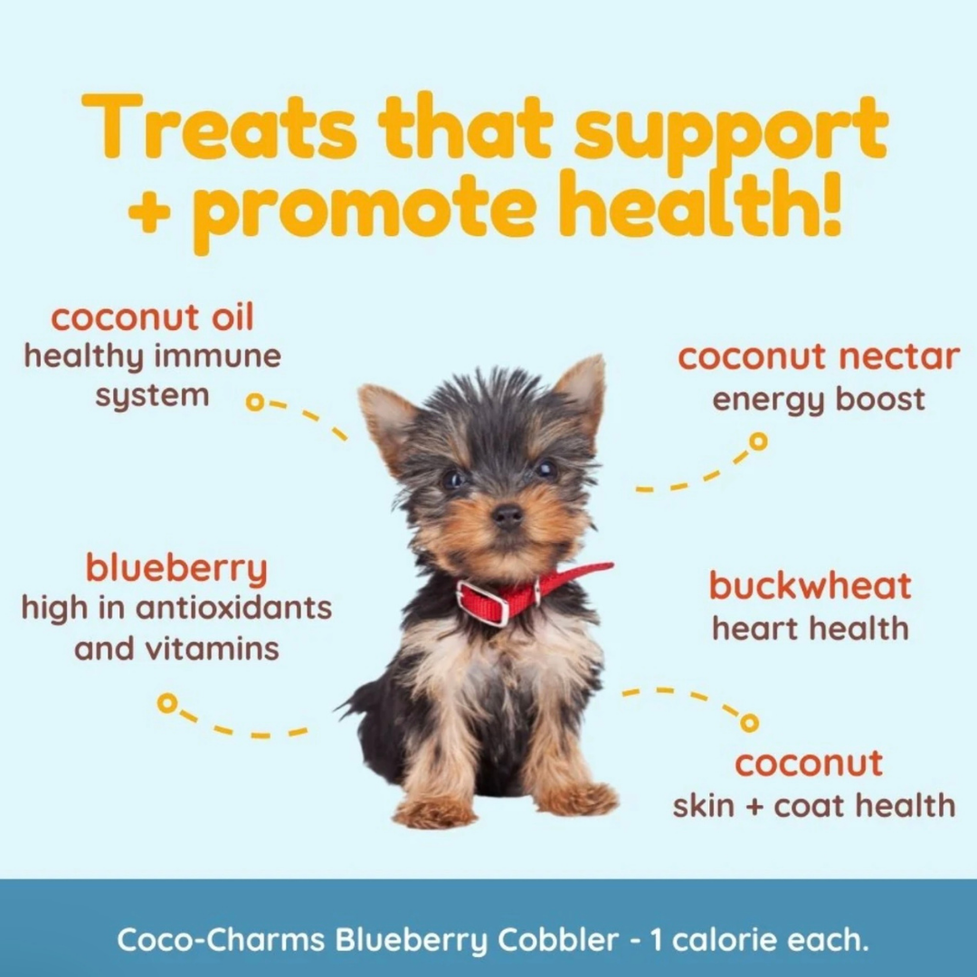 CocoTherapy Coco-Charms Training Treats | Blueberry Cobbler