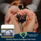Organic Healing Balm | Nose + Paw Pads