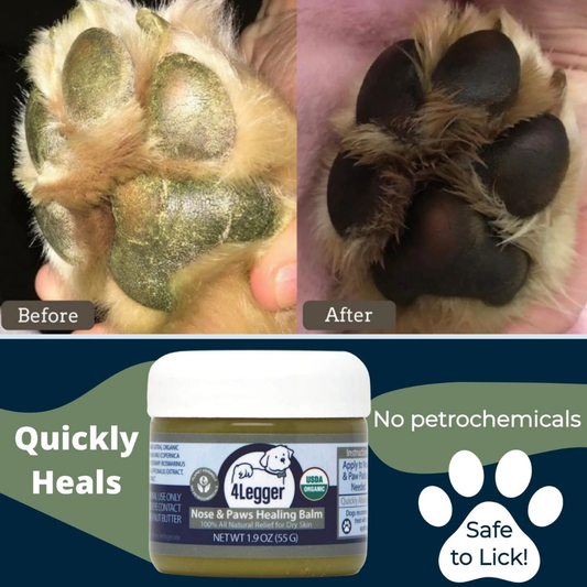 4-Legger Organic Healing Balm | Nose & Paw Pads