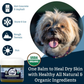 Organic Healing Balm | Nose + Paw Pads