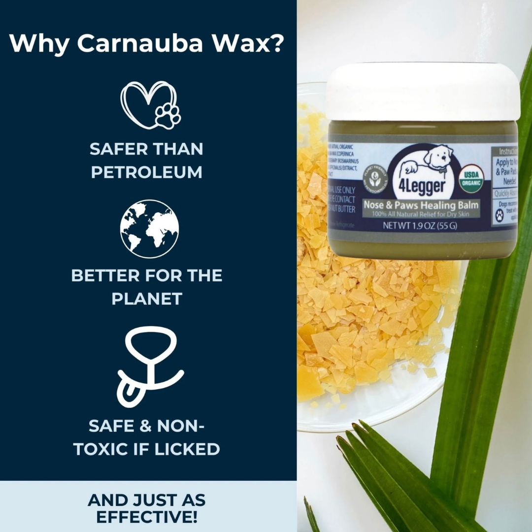 4-Legger Organic Healing Balm | Nose & Paw Pads