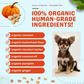 CocoTherapy Coco-Charms Training Treats | Pumpkin Pie